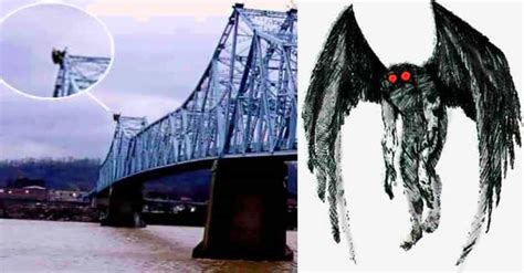 The Mothman Curse: Cults, Curses, and Conspiracy Theories